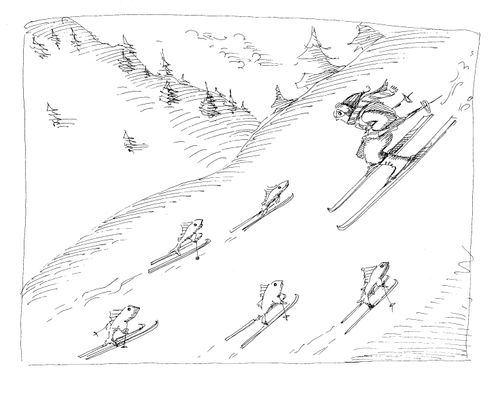 From sea to skis.