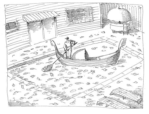 A gondolier clears leaves form a pool
