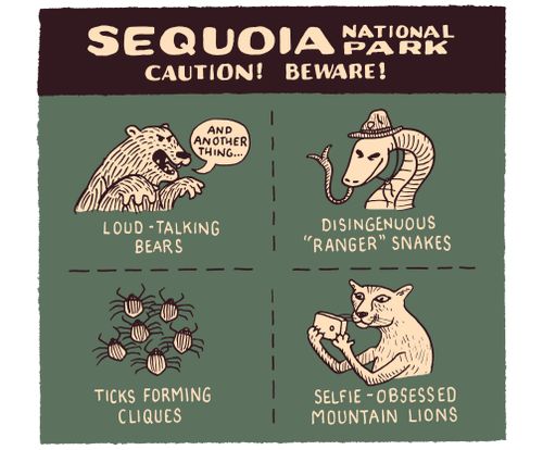 Sequoia National Park - Caution! Beware!
