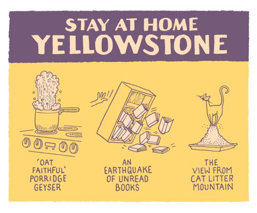 Stay at Home Yellowstone.