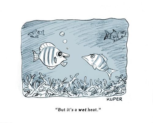 "But it's a wet heat."