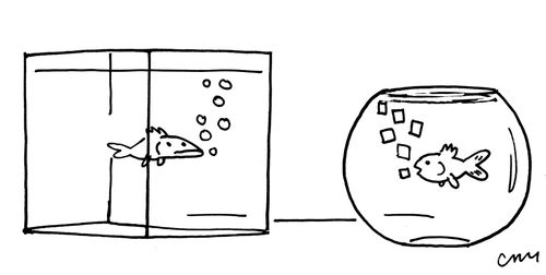 Goldfish with Square Bubbles