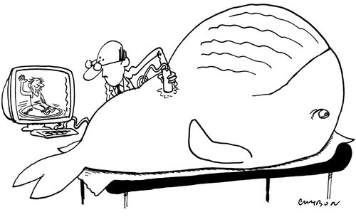 Surfer and the Whale