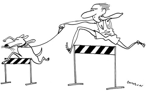 Dog and Runner Jumping Hurdles Together