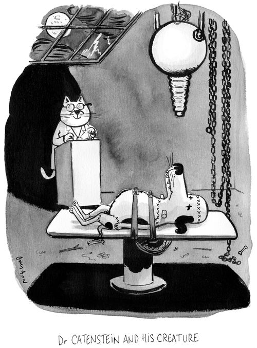 Dr Catenstein and his Creature