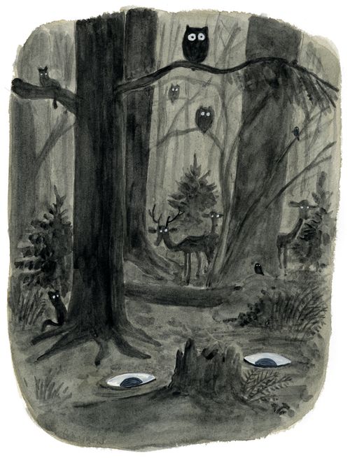 Eyes on the Forest Floor