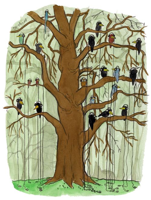 Birds with Headphones