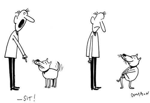 Sitting Dog