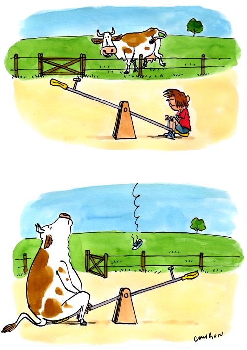 Cow plays on seesaw.