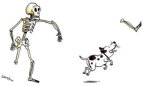 Skeleton playing fetch.