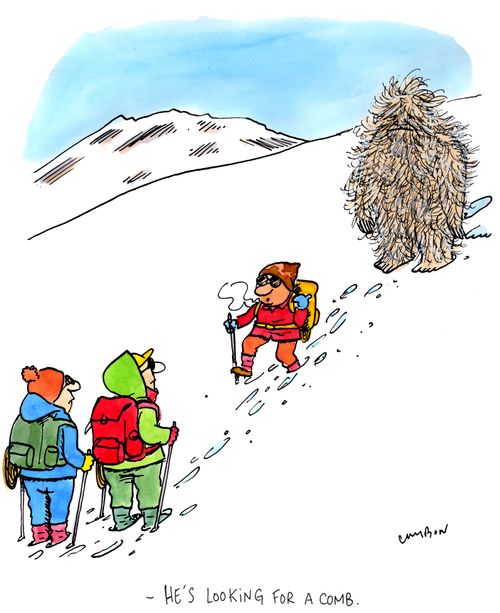 "He's looking for a comb."