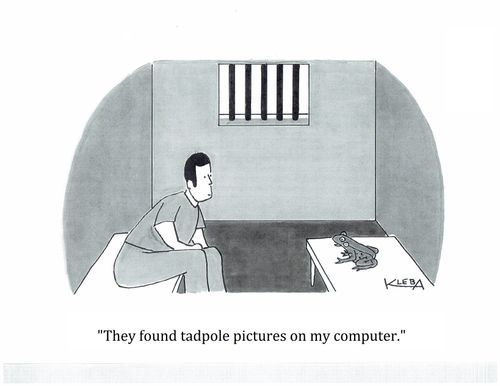 "They found tadpole pictures on my computer."