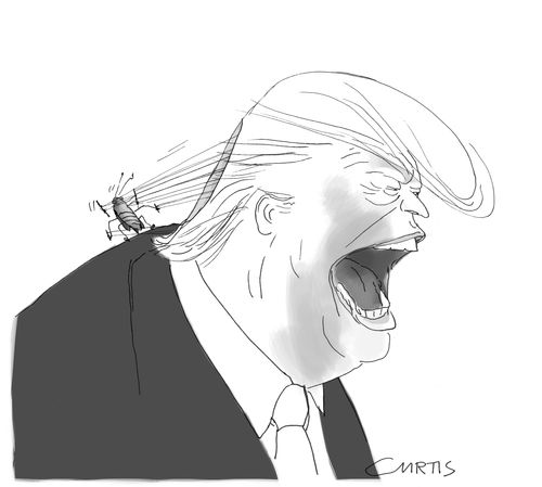 A cockroach controlling Donald Trump with puppet strings