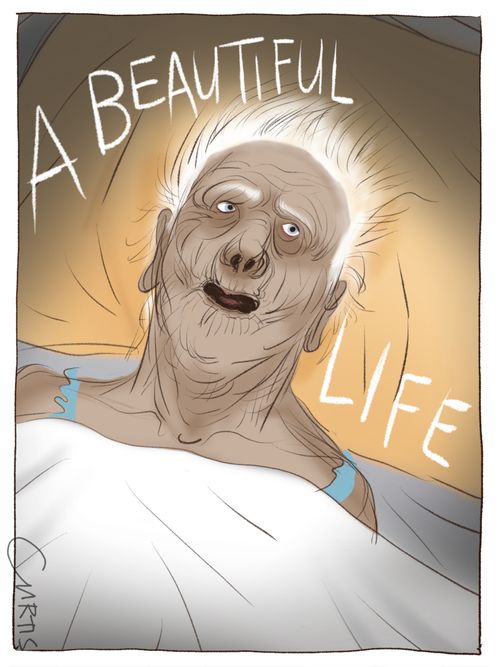 A beautiful life