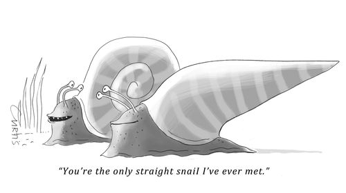 "You're the only straight snail I've ever met."