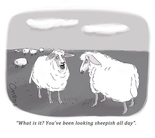 "What is it? You've been looking sheepish all day."
