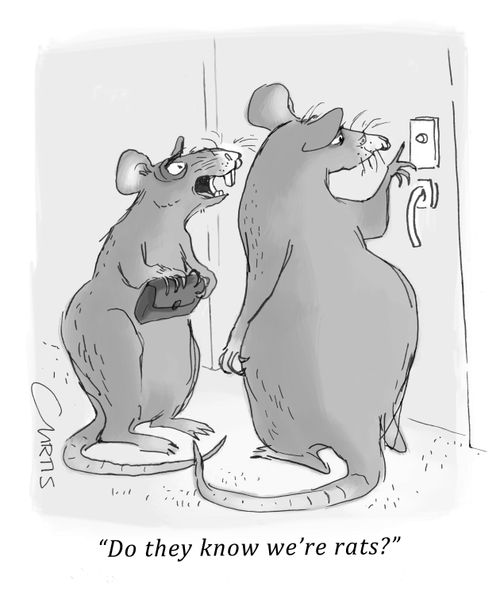 "Do they know we're rats?"