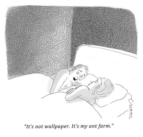 "It's not wallpaper. It's my ant farm."