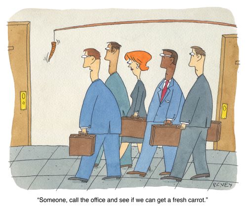 "Someone, call the office and see if we can get a fresh carrot."