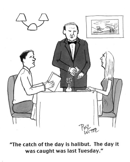 "The catch of the day is halibut. The day it was caught was last Tuesday."
