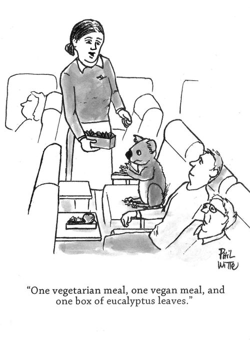 "One vegetarian meal, one vegan meal, and one box of eucalyptus leaves."