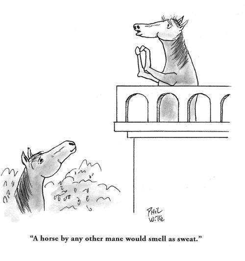 "A horse by any other mane would small as sweat."