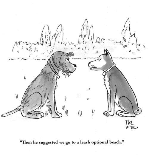 "Then he suggested we go to a leash optional beach."