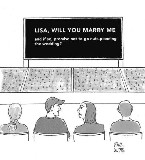 Lisa, will you marry me... and if so promise not to go nuts planning the wedding.