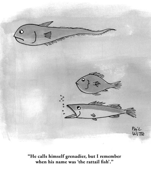 "He calls himself grenadier, but I remember when his name was 'the rattail fish'."