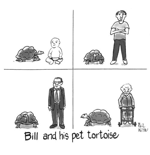 Bill and his pet tortoise