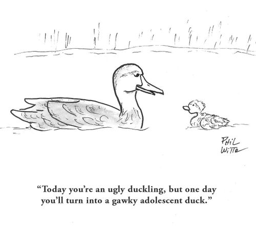 "Today you're an ugly duckling, but one day you'll turn into a gawky adolescent duck."