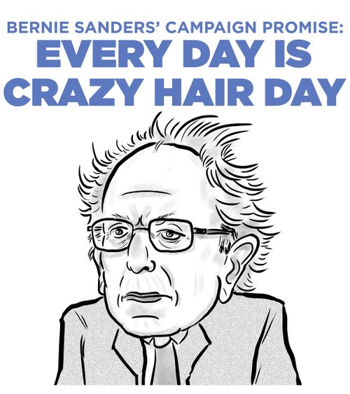 Bernie Sanders' campaign promise: every day is crazy hair day