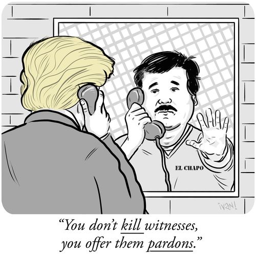 "You don't kill witnesses, you offer them pardons."