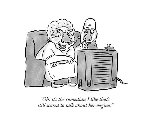 "Oh, it's the comedian I like that's still scared to talk about her vagina."