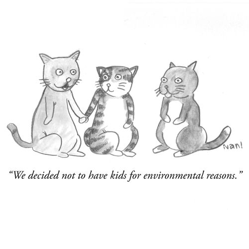 "We decided not to have kids for environmental reasons."