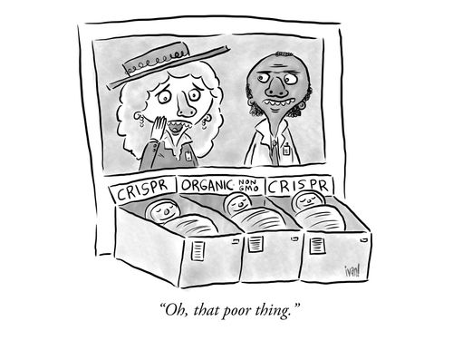 "Oh, that poor thing."
