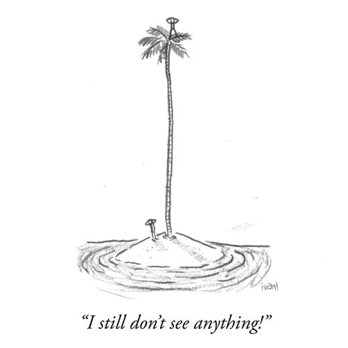 "I still don't see anything!"