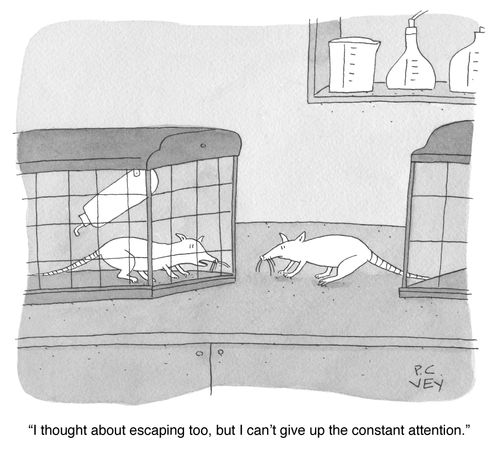 "I thought about escaping too, but I can't give up the constant attention."