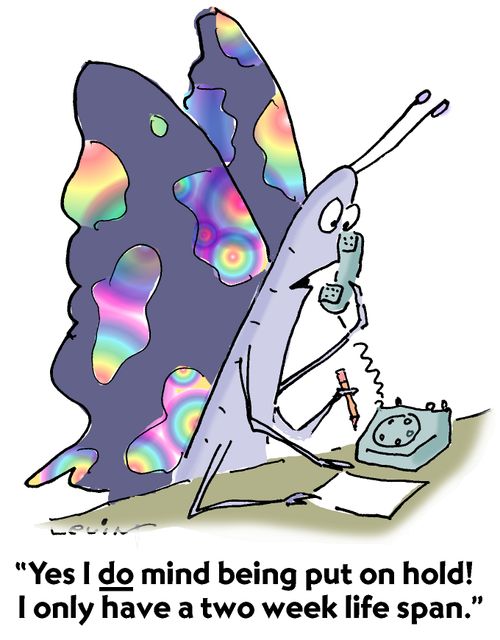 "Yes I DO mind being put on hold! I only have a two week life span."