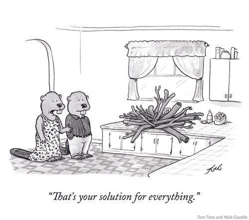 "That's your solution for everything."
