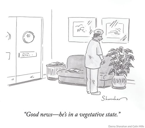 "Good news - he's in a vegetative state."