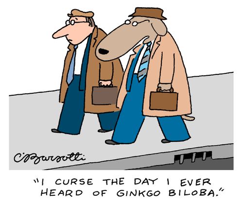 "I curse the day I ever heard of Ginkgo Biloba."