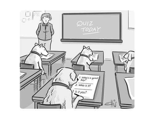 Quiz for dogs.