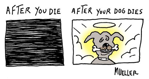 After You Die/After Your Dog Dies
