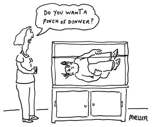 "Do you want a pinch of dinner."
