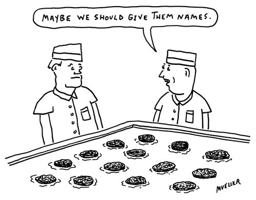 "Maybe we should give them names."