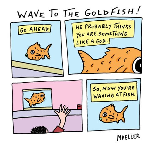 Wave to the Goldfish!