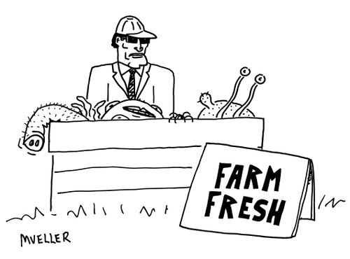 Farm Fresh