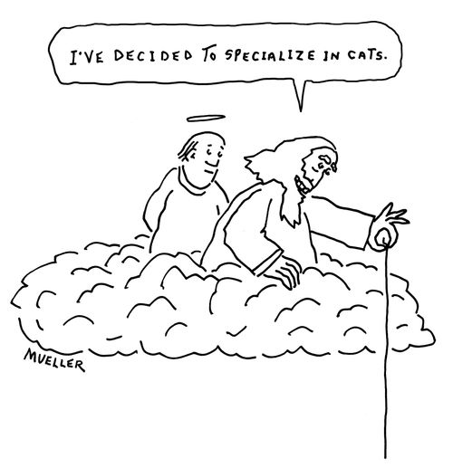 "I've decided to specialize in cats."