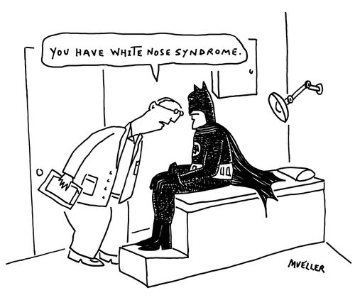 "You have white nose syndrome."
